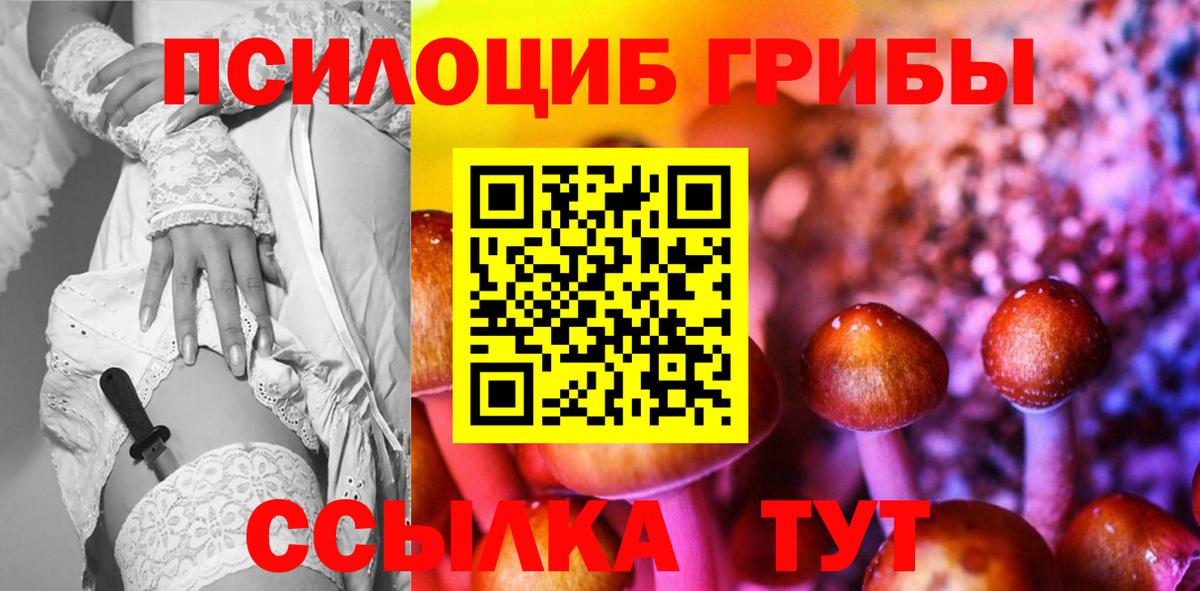Псилоцибиновые грибы Cubensis  Вход с VPN  Горячий Ключ 