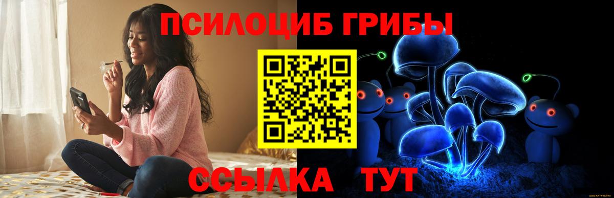 Галлюциногенные грибы Psilocybe Горячий Ключ